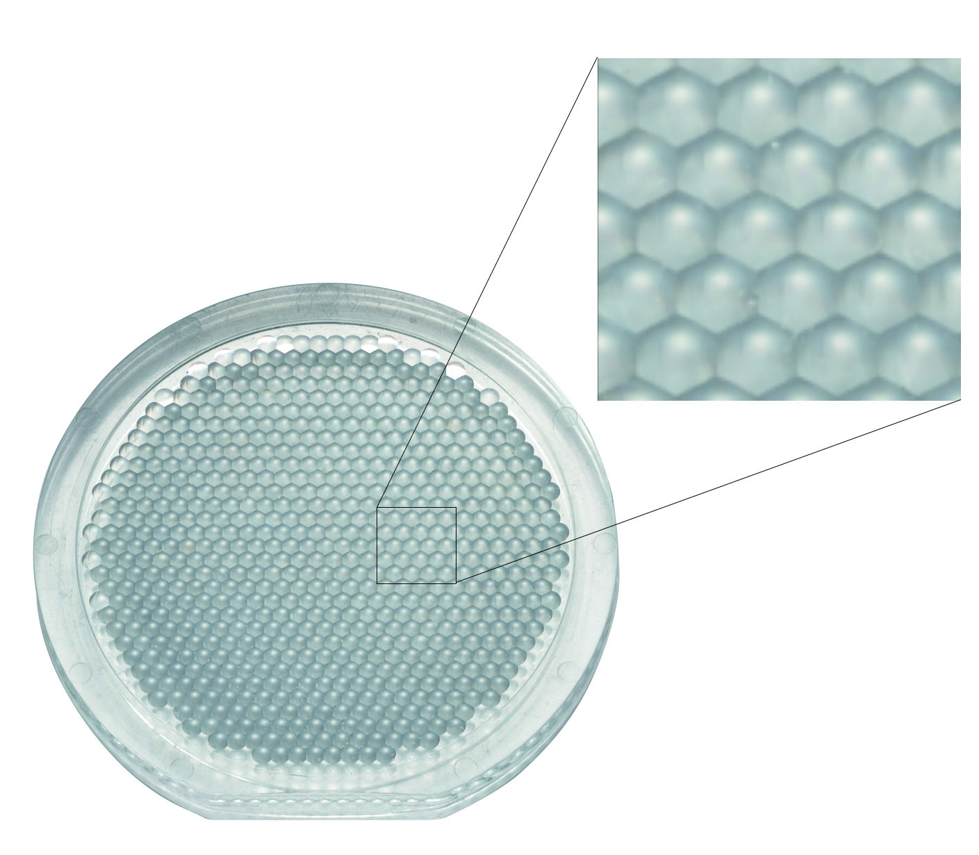 ECLIPSE Ti2尼康倒置生物顯微鏡-上海思長約光學經銷