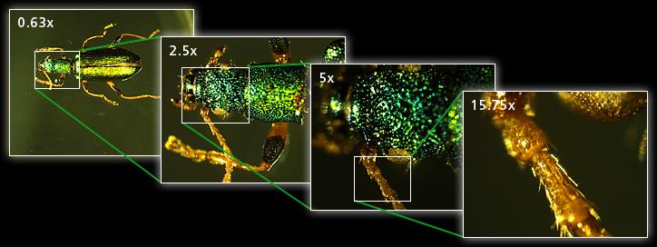 SMZ25全球zui高變倍比 SMZ25全球zui高變倍比